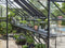 Halls Greenhouses Tafel Qube 168 -Geïntegreerd Zwart Gecoat