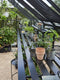 Halls Greenhouses Tafel Qube 168 -Geïntegreerd Zwart Gecoat