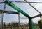 Halls Greenhouses Tuinkas Popular 106 - Blank