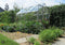 Halls Greenhouses Tuinkas Popular 86 - Blank