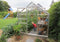 Halls Greenhouses Tuinkas Popular 86 - Blank