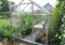 Halls Greenhouses Tuinkas Popular 86 - Blank