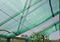 Halls Greenhouses Tuinkas Popular 86 - Blank