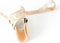 Hallux valgus splint - rechts - Neo G