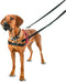 Halti Harnass - Anti trektuigje - Hond - Large - Borstomvang boven de 80 cm – Zwart