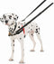 Halti Harnass - Anti trektuigje - Hond - Large - Borstomvang boven de 80 cm – Zwart