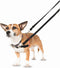 Halti Harnass - Anti trektuigje - Hond - Large - Borstomvang boven de 80 cm – Zwart