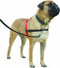 Halti Harnass - Anti trektuigje - Hond - Large - Borstomvang boven de 80 cm – Zwart
