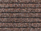 Hamat deurmat Fortuna 40 x 60 cm Choco
