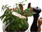 Hangetiketten koper 9,5cm set a 6 stuks
