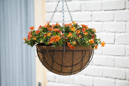 Hanging basket metaaldraad groen geepoxeerd incl. ketting H15,5x dia. 35cm
