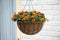 Hanging basket metaaldraad groen geepoxeerd incl. ketting H15,5x dia. 35cm