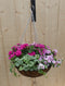 Hanging basket zomerbloeiers roze h25 cm