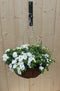 Hanging basket zomerbloeiers wit h25 cm