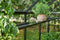 Hanging tray 36x14,5x6 cm
