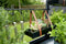 Hanging tray 36x14,5x6 cm