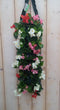 Hangzak Begonia Kleur Varieert