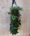 Hangzak vaste planten najaar