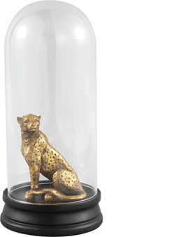 PTMD - Amir Gold - Stolpen - Gold