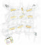 Happy Pet Cargo Net - 60X60 CM