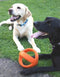 Happy Pet Grubber Voetbal - Apporteren - 18 cm
