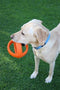 Happy Pet Grubber Voetbal - Apporteren - 18 cm
