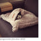 Happy Pet Kattenslaapzak Hugs Snuggle - 50 CM