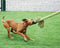 Happy Pet - King Size Tug Flostouw - Assorti - 123 cm (XL)