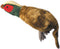 Happy Pet Migrator Pluche Fazant - LARGE 38X16X10 CM