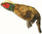 Happy Pet Migrator Pluche Fazant - MEDIUM 29X9X7 CM
