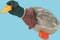 Happy Pet Migrator Pluche Wilde Eend - 24 CM