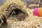 Happy Pet Playstix - Hideout - 21 x 11 x 2 cm