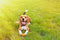 Happy Pet Rubber Bal Assorti - 8X8X8 CM