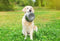 Happy Pet Voerbak Rvs - 13.5 CM
