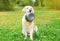 Happy Pet Voerbak Rvs 16.5 CM