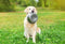 Happy Pet Voerbak Rvs - 21.5 CM