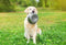 Happy Pet Voerbak Rvs - 25 CM