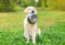 Happy Pet Voerbak Rvs - 29 CM