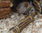 Happy Pet Wilgen Sticks - 26 x 5 x 5 cm