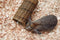 Happy Pet Wilgen Tunnel - SMALL 27X13X13 CM