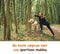 Hardloopriem Hond – Honden Riem Handsfree – Hardlopen met Hond – Canicross - 160-260 cm Zwart - Hardloopband Hond – Halsband Hond – Hondenlijn – Leiband Hond