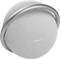 Harman Kardon Onyx Studio 7 Grijs