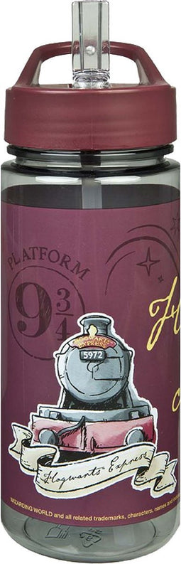 Harry Potter Drinkfles 500 ml