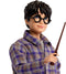 Harry Potter - Harry en Ron in de Zweinsteinexpres - Speelfiguur