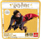 Harry Potter - Hogwarts Hallways - De Gangen van Zweinstein - Bordspel - Gezelschapsspel