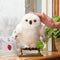 Harry Potter - Interactieve Uil Hedwig - 27cm - Met Geluiden en Bewegingen