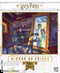 Harry Potter Mirror of Erised puzzel - 1000 stukjes - New York Puzzle Company