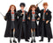 Harry Potter Ron Wemel Pop - 26 cm