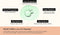 haruharu wonder Centella - Phyto & 5 Peptide Concentrate Cream 30ml