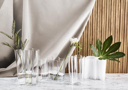 Iittala Aalto Vazen set - 160mm + 95mm Wit